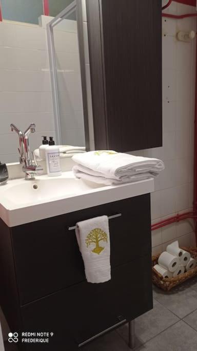 Studio 18 Residence Du Parc Châtel-Guyon Zewnętrze zdjęcie